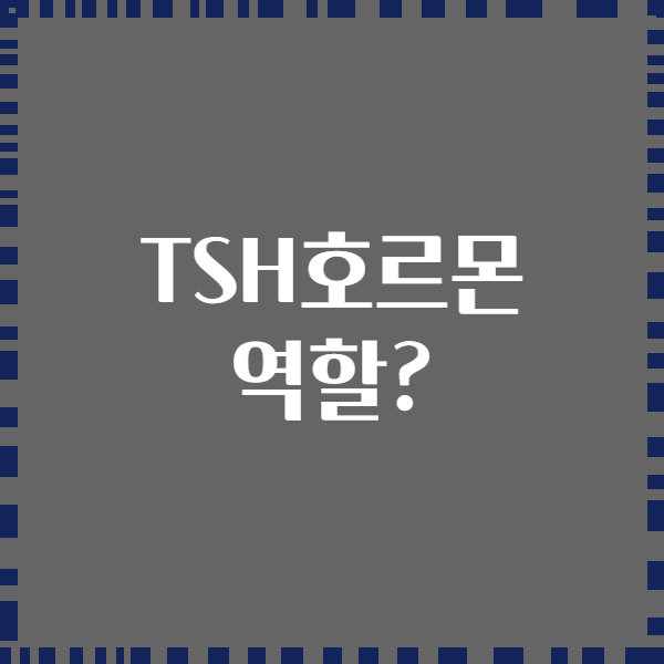 TSH호르몬 역할?