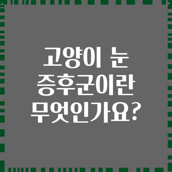 고양이 눈 증후군이란 무엇인가요?