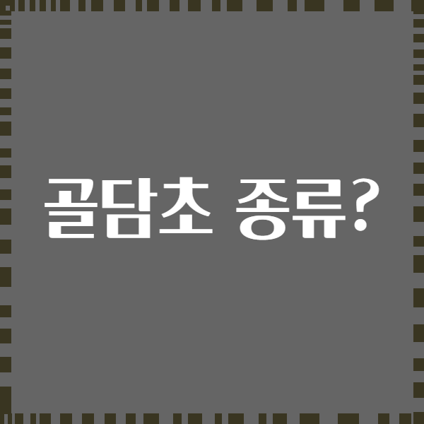 골담초 종류?