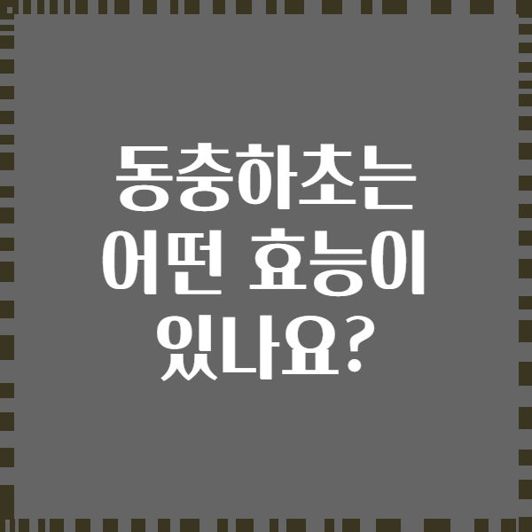 동충하초는 어떤 효능이 있나요?