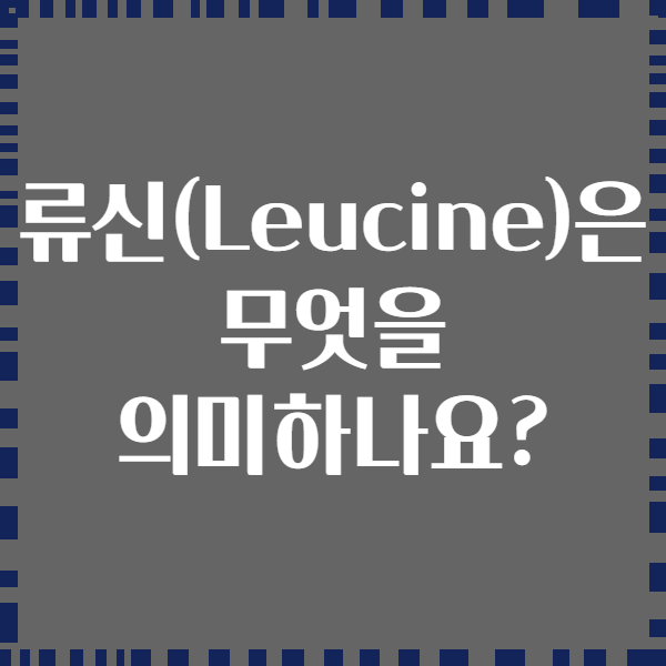 류신(Leucine)은 무엇을 의미하나요?