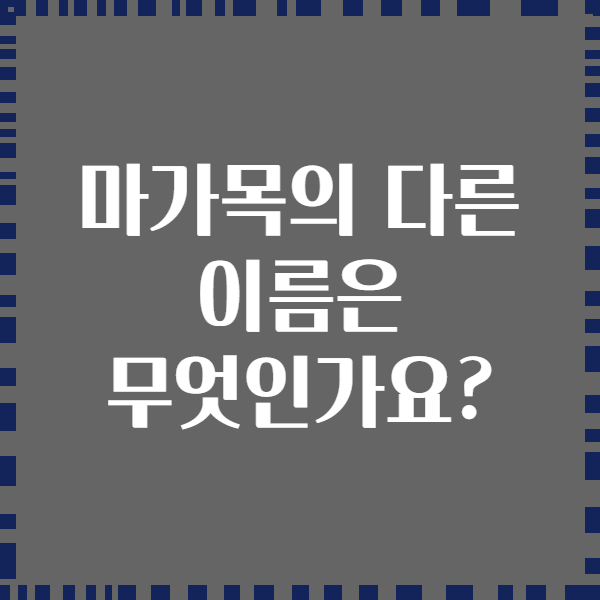 마가목의 다른 이름은 무엇인가요?