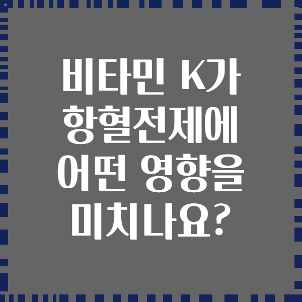 비타민 K가 항혈전제에 어떤 영향을 미치나요?