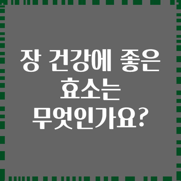 장 건강에 좋은 효소는 무엇인가요?
