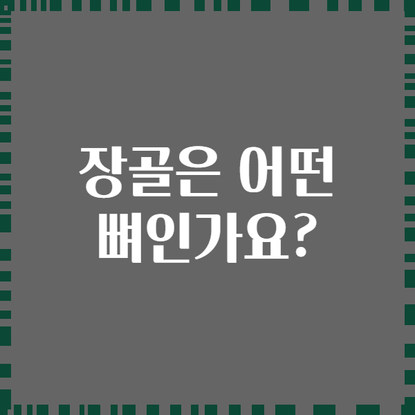 장골은 어떤 뼈인가요?