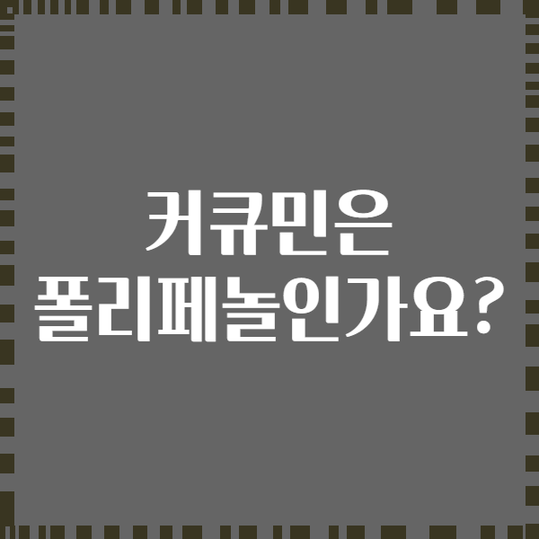 커큐민은 폴리페놀인가요?