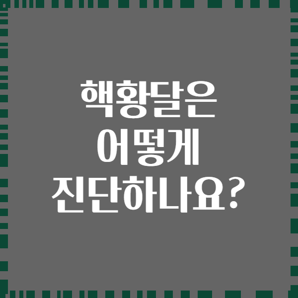 핵황달은 어떻게 진단하나요?