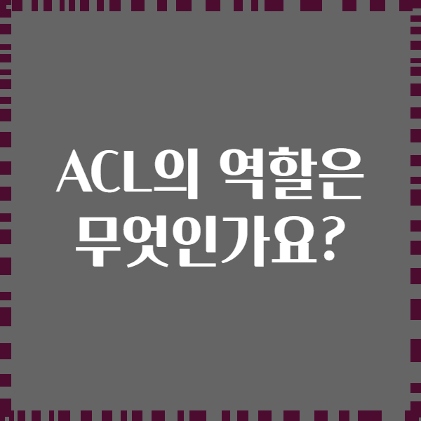ACL의 역할은 무엇인가요?
