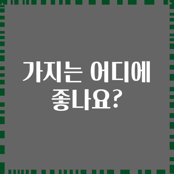 가지는 어디에 좋나요?