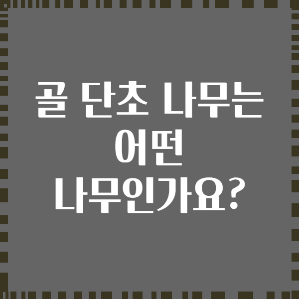 골 단초 나무는 어떤 나무인가요?