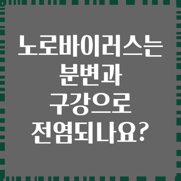 노로바이러스는 분변과 구강으로 전염되나요?