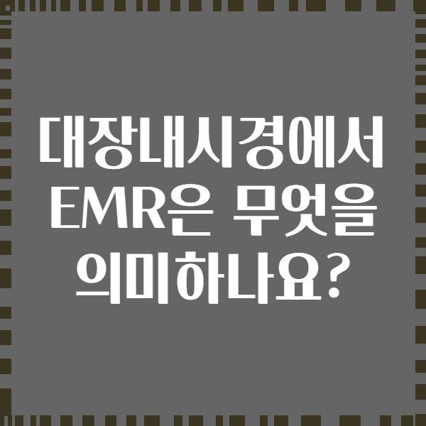 대장내시경에서 EMR은 무엇을 의미하나요?
