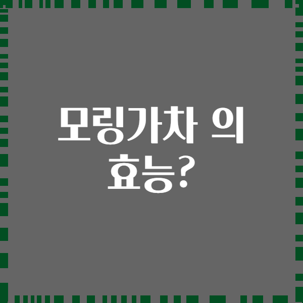 모링가차 의 효능?