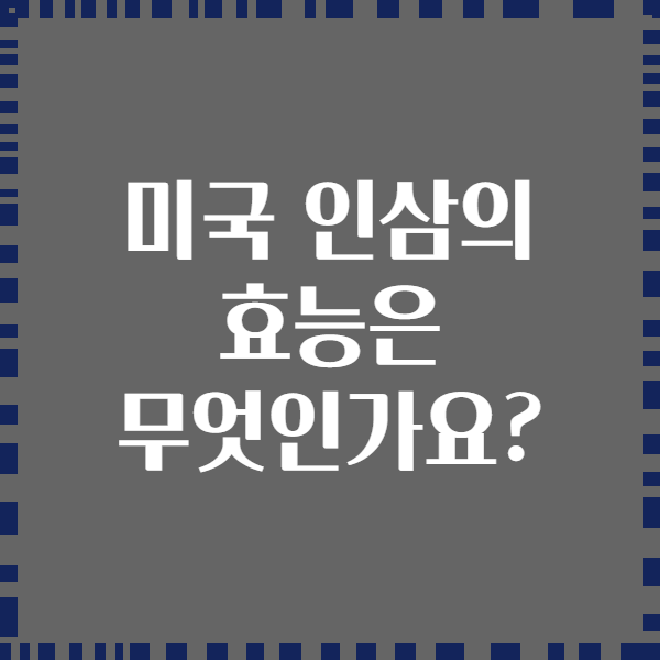 미국 인삼의 효능은 무엇인가요?