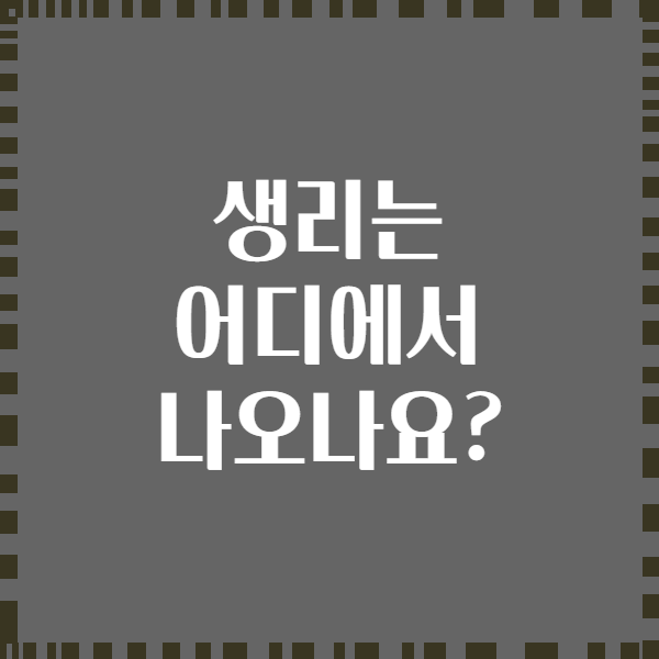 생리는 어디에서 나오나요?