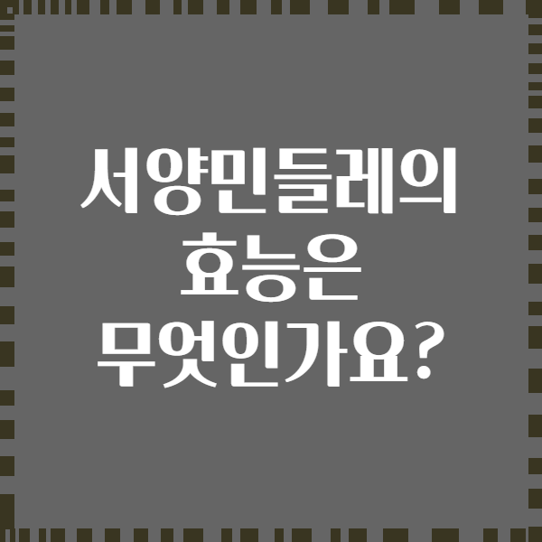 서양민들레의 효능은 무엇인가요?