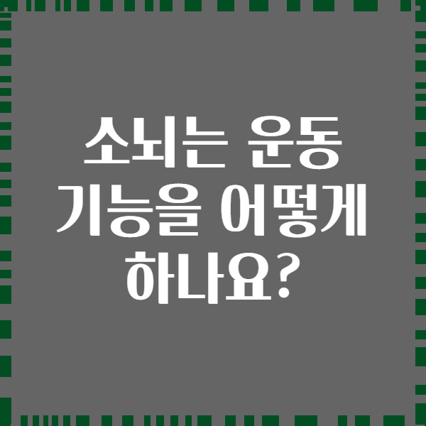 소뇌는 운동 기능을 어떻게 하나요?