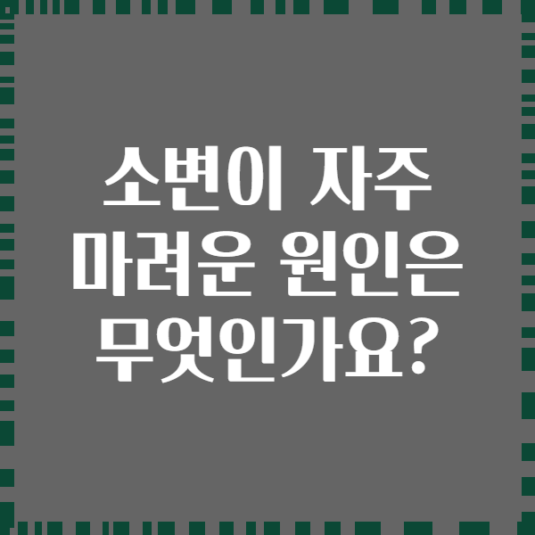 소변이 자주 마려운 원인은 무엇인가요?