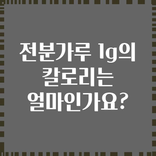 전분가루 1g의 칼로리는 얼마인가요?