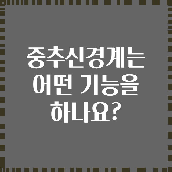 중추신경계는 어떤 기능을 하나요?