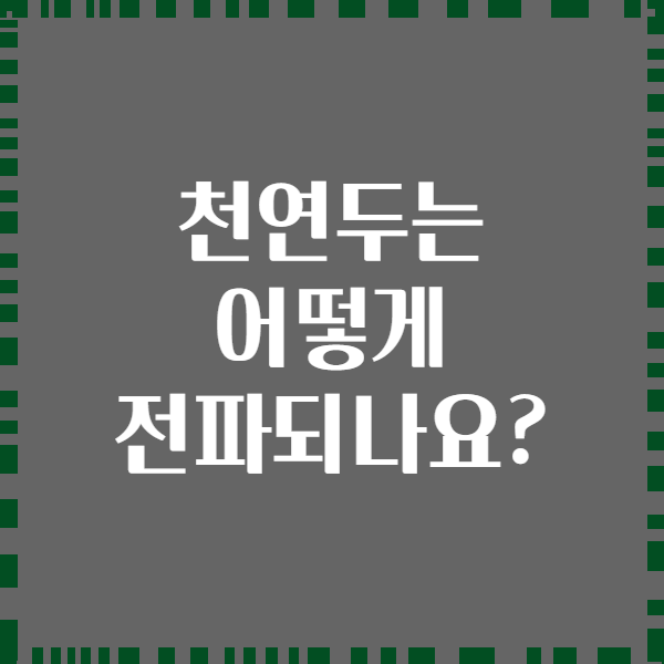 천연두는 어떻게 전파되나요?