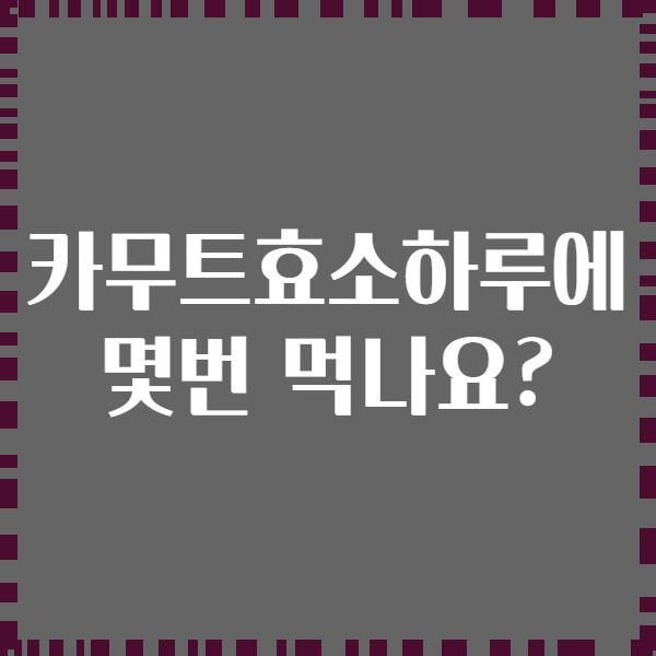 카무트효소하루에 몇번 먹나요?