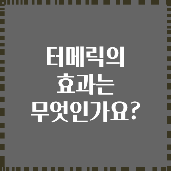터메릭의 효과는 무엇인가요?