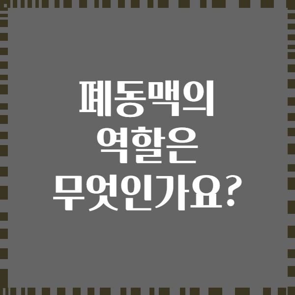 폐동맥의 역할은 무엇인가요?