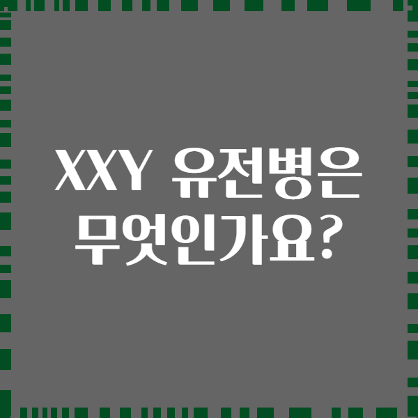 XXY 유전병은 무엇인가요?