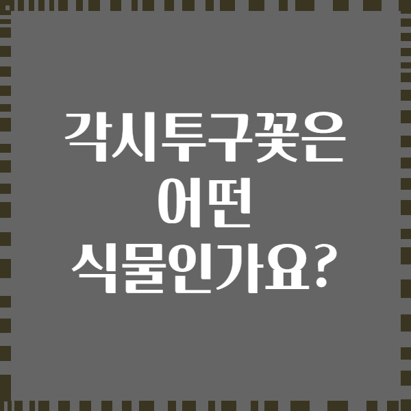 각시투구꽃은 어떤 식물인가요?