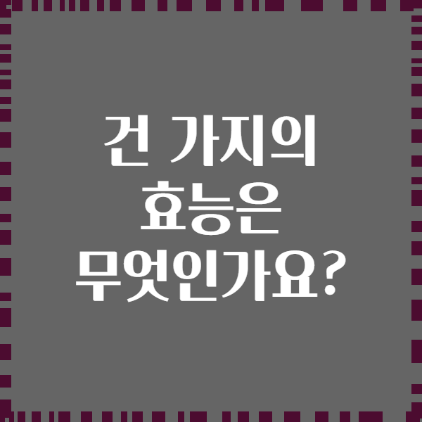 건 가지의 효능은 무엇인가요?