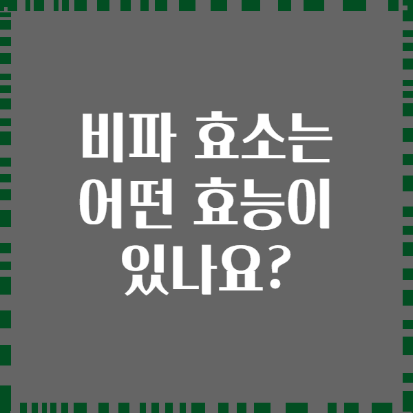 비파 효소는 어떤 효능이 있나요?