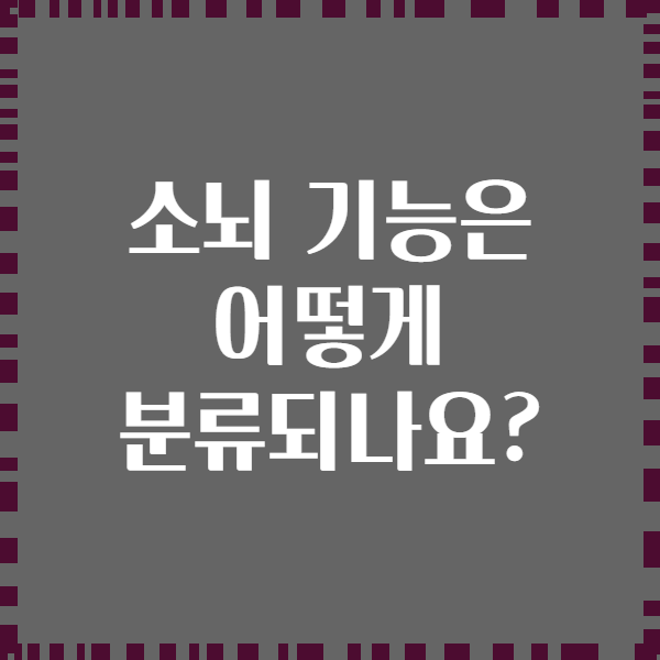 소뇌 기능은 어떻게 분류되나요?