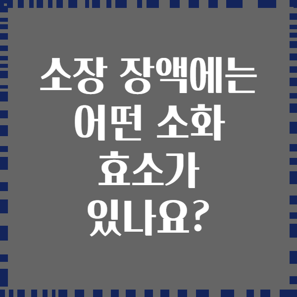 소장 장액에는 어떤 소화 효소가 있나요?