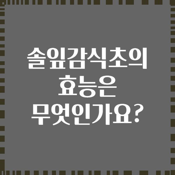 솔잎감식초의 효능은 무엇인가요?