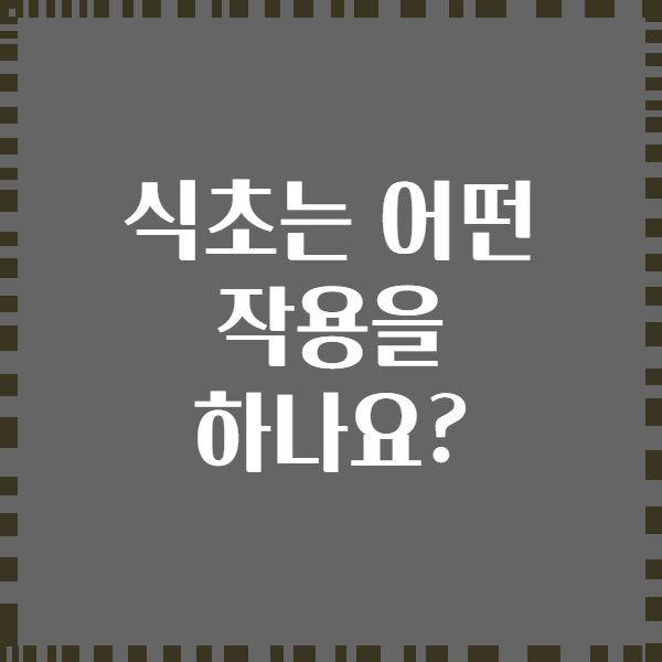 식초는 어떤 작용을 하나요?