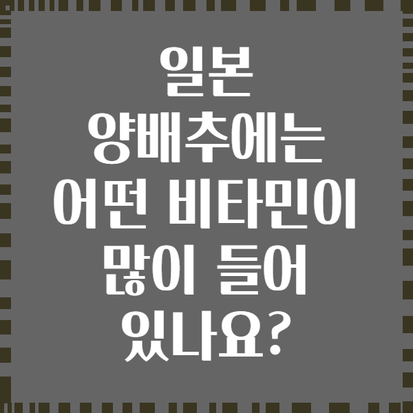 일본 양배추에는 어떤 비타민이 많이 들어 있나요?