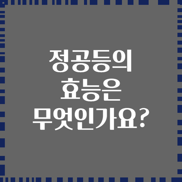 정공등의 효능은 무엇인가요?