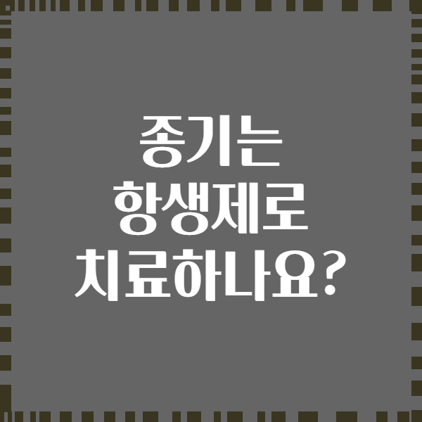 종기는 항생제로 치료하나요?