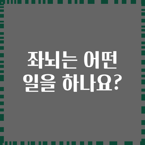 좌뇌는 어떤 일을 하나요?