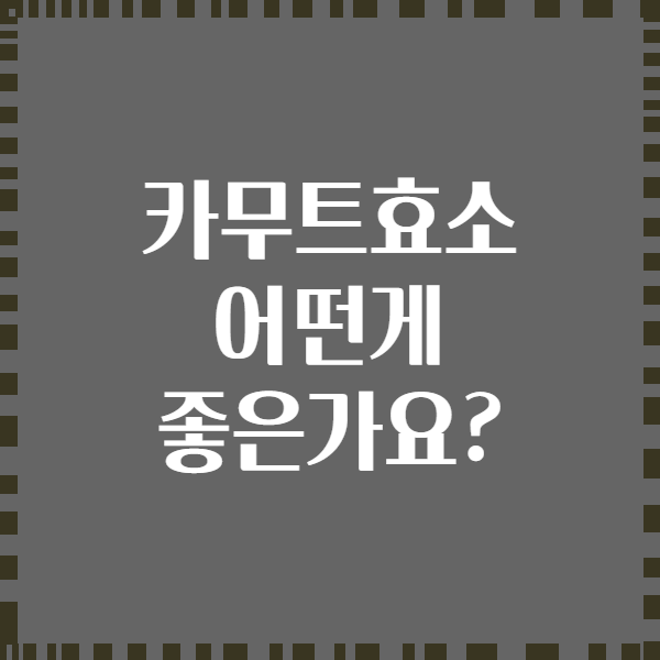 카무트효소 어떤게 좋은가요?