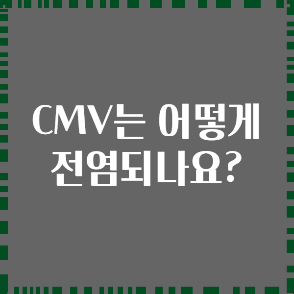 CMV는 어떻게 전염되나요?