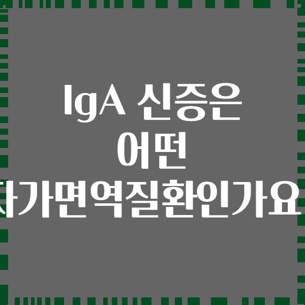 IgA 신증은 어떤 자가면역질환인가요?
