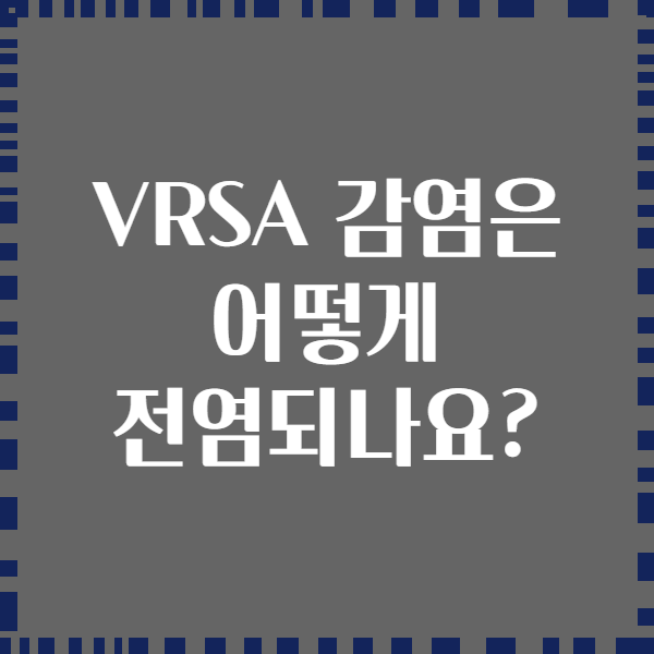 VRSA 감염은 어떻게 전염되나요?