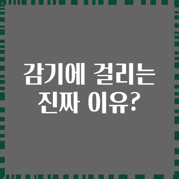 감기에 걸리는 진짜 이유?