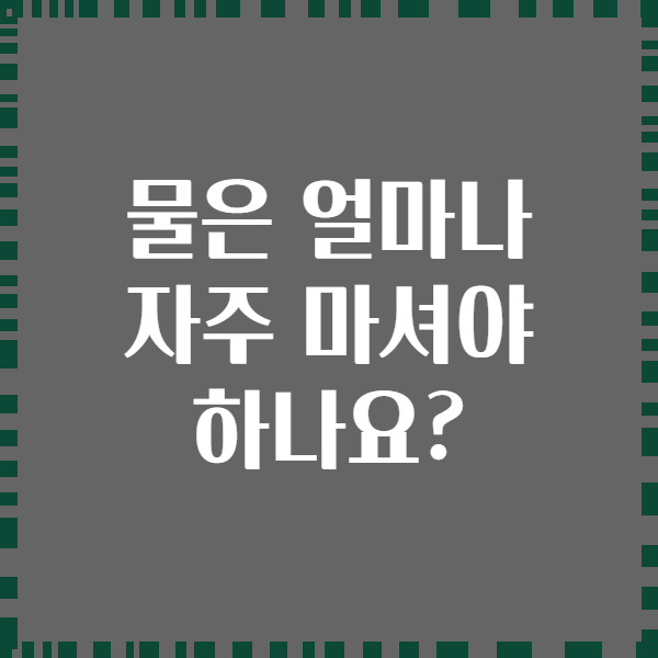 물은 얼마나 자주 마셔야 하나요?