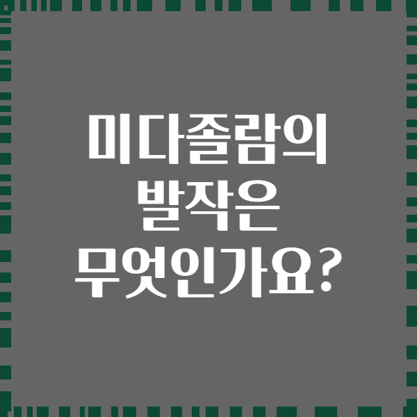 미다졸람의 발작은 무엇인가요?