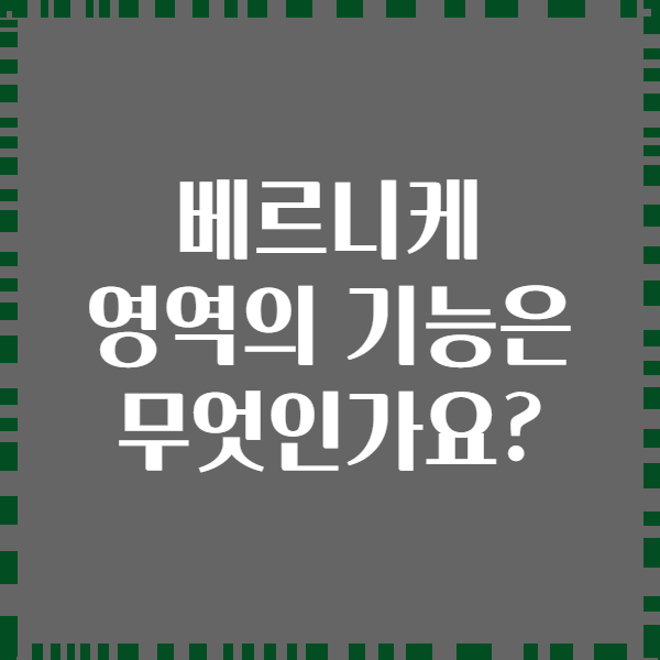 베르니케 영역의 기능은 무엇인가요?