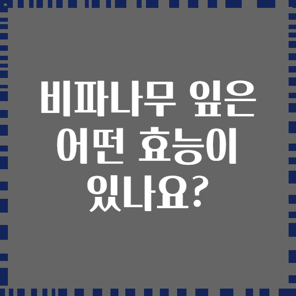 비파나무 잎은 어떤 효능이 있나요?
