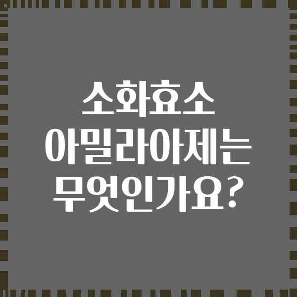 소화효소 아밀라아제는 무엇인가요?